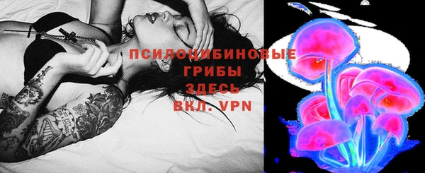 хмурый Абинск