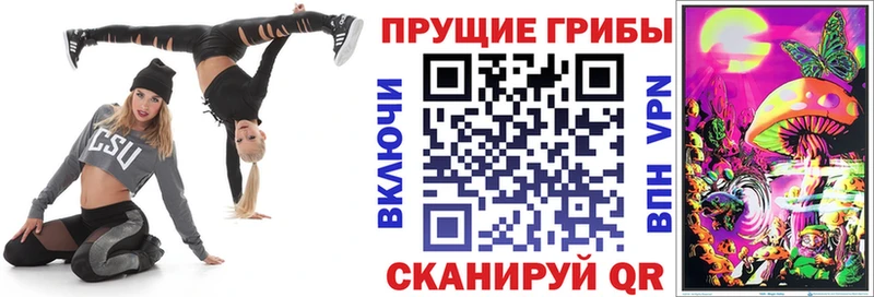 OMG tor  Елизаветинская  Псилоцибиновые грибы Psilocybe 